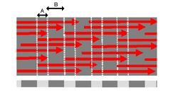 Diagram of collagen