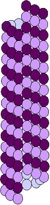 Diagram of microtubule subunit