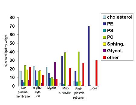Graph of lipid content