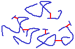 Diagram of elastic fibres